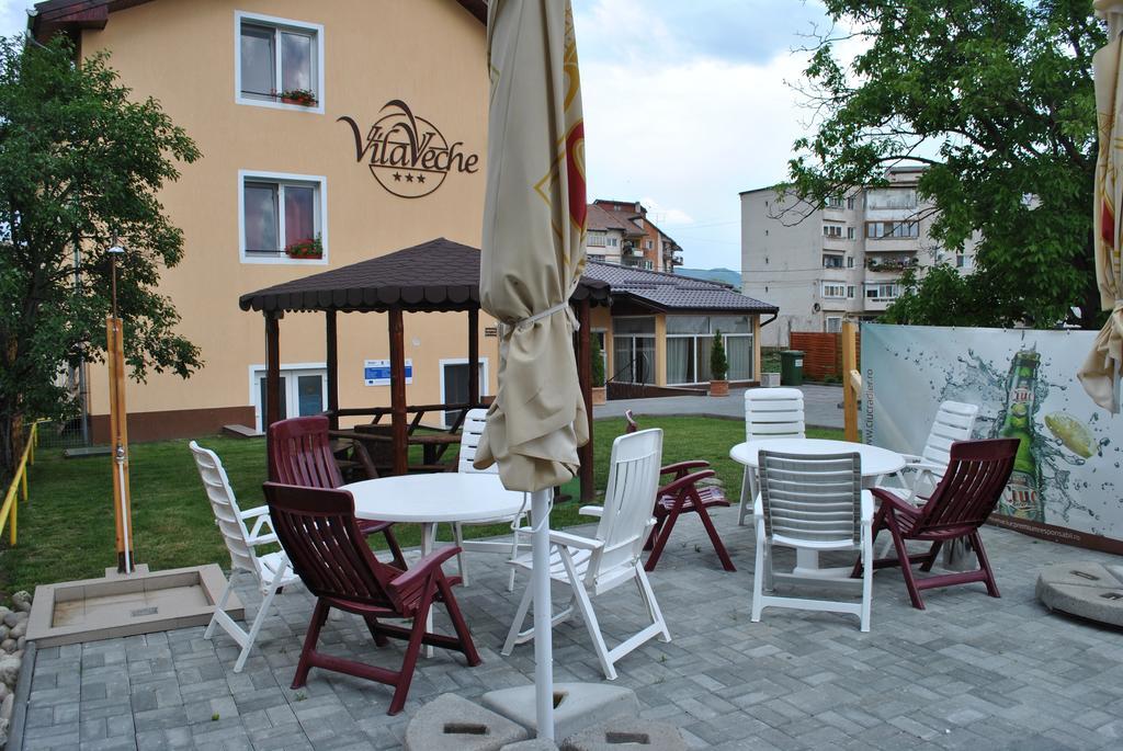 Vila Veche Haţeg 외부 사진