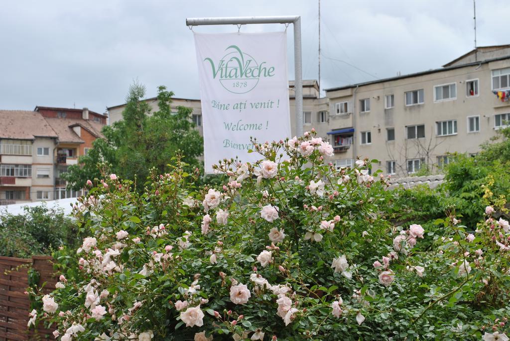 Vila Veche Haţeg 외부 사진